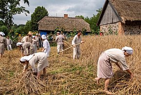 Historyczny sukces Mazowsza! Trzy miejsca z prestiżową nagrodą-21417