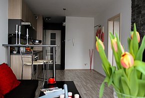 Rewolucja w wynajmie na doby. Nadchodzi koniec "wolnej amerykanki"-21679