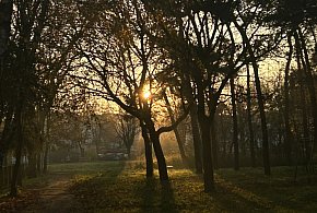 Nadchodzi najkrótszy dzień w 2025 roku. Sprawdź, kiedy przypadnie-22192