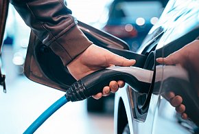 Coraz częściej dochodzi do takich kradzieży. Powody zaskakują-22675