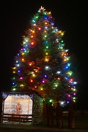 Świątecznie w Zawidzu-4441