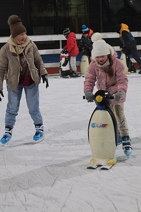 Lodowisko w Sierpcu-4469