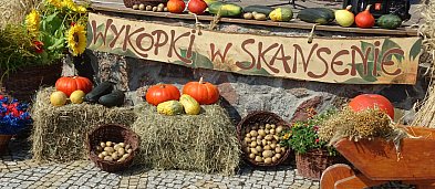 Wykopki w skansenie-138497