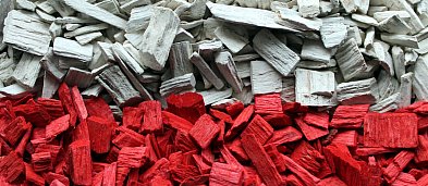 Narodowe Święto Niepodległości w Bonisławiu-2150