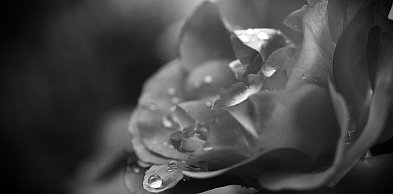 Zmarła wieloletnia pielęgniarka z sierpeckiego szpitala