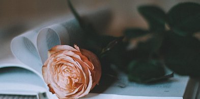 Siniaki, walentynki i RAL 3003