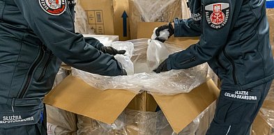 KAS zatrzymała próbę przemytu ponad 1 000 szt. koralowców z Indonezji