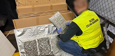 KAS udaremniła przemyt 90 kg marihuany