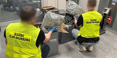 KAS wykryła 50 kg marihuany w przesyłkach z odzieżą