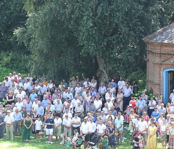 Odpust Wniebowzięcia NMP – program uroczystości-20433