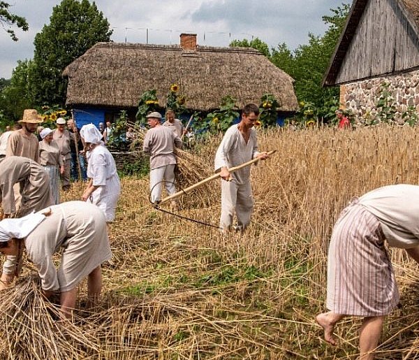 Historyczny sukces Mazowsza! Trzy miejsca z prestiżową nagrodą-21417