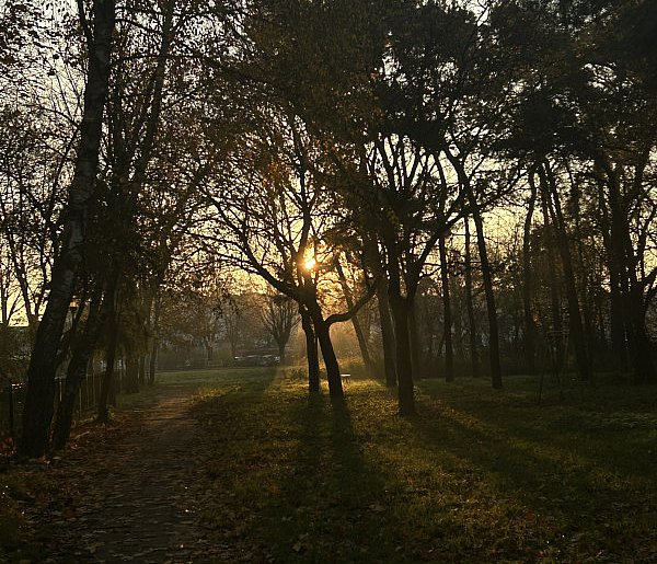 Nadchodzi najkrótszy dzień w 2025 roku. Sprawdź, kiedy przypadnie-22192