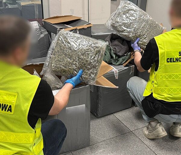 KAS wykryła 50 kg marihuany w przesyłkach z odzieżą