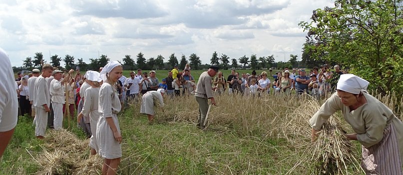 Żniwa w skansenie 2025-137563