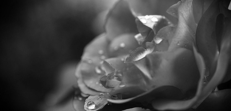 Zmarła wieloletnia pielęgniarka z sierpeckiego szpitala