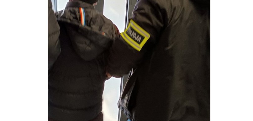 Zatrzymany za znęcanie się nad zwierzętami