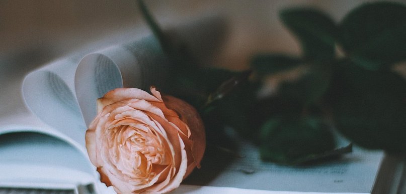 Siniaki, walentynki i RAL 3003