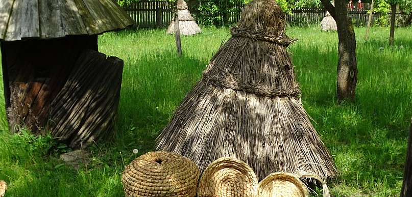 Ponad 12% wzrost turystyki na Mazowszu