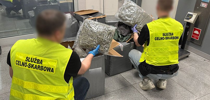 KAS wykryła 50 kg marihuany w przesyłkach z odzieżą