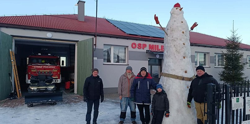 Bałwan na straży - 22600