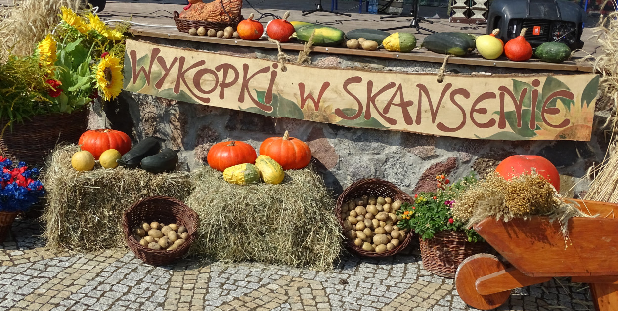 Wykopki w skansenie
