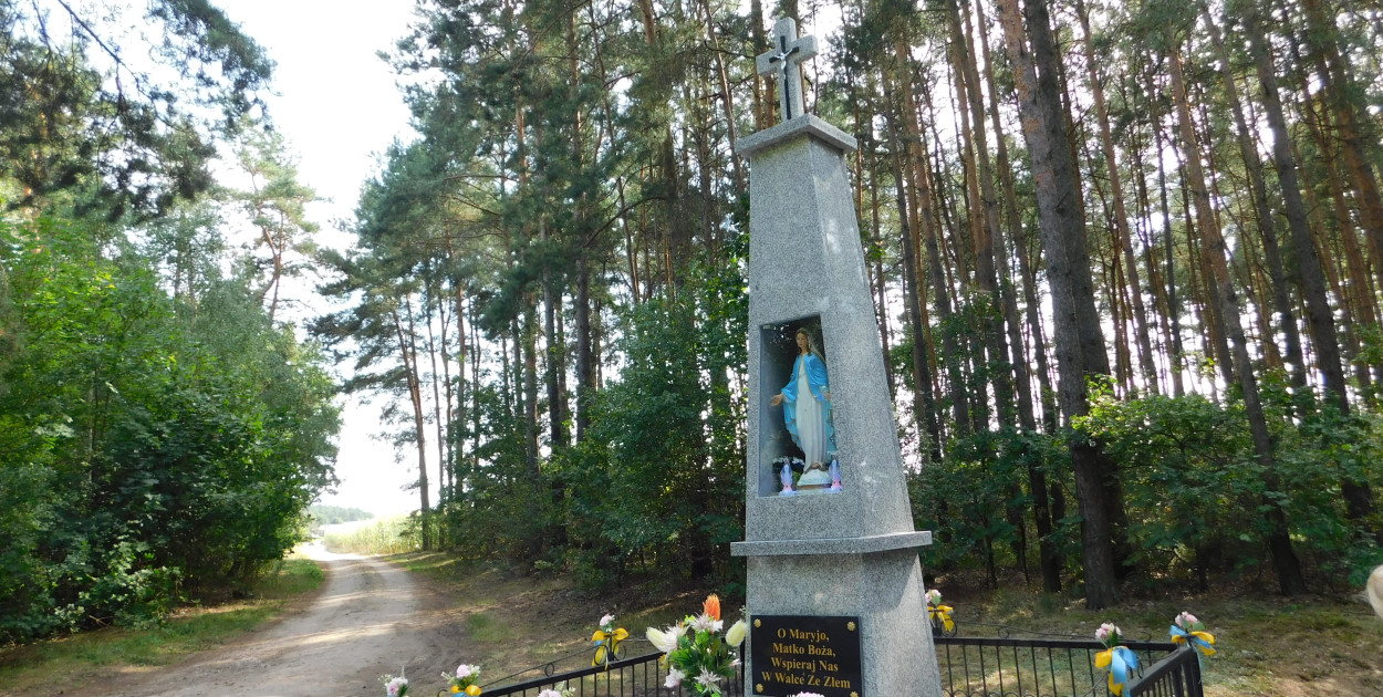 fot. UG Szczutowo