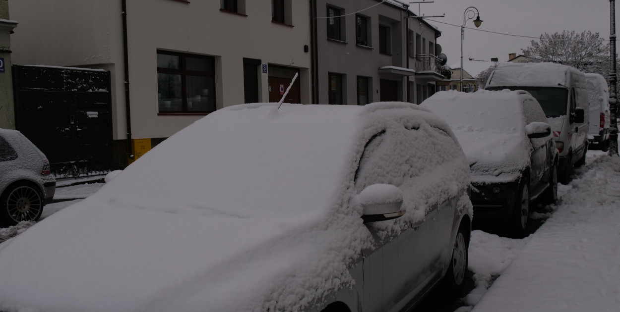 zdjęcie ilustracyjne