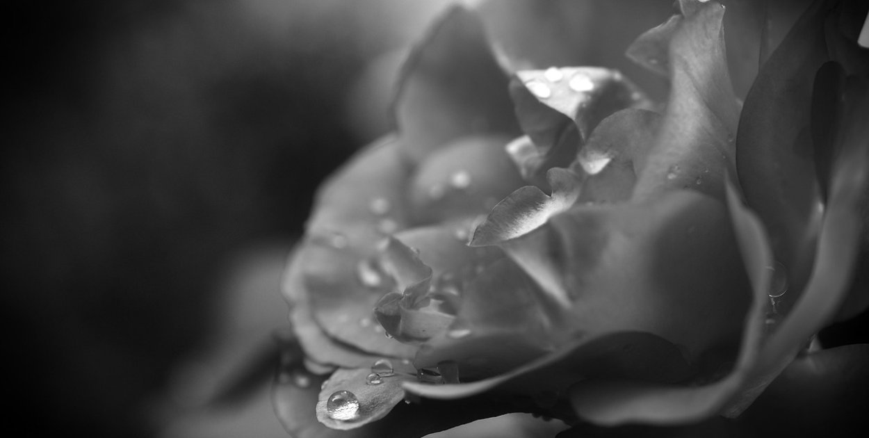 Zmarła wieloletnia pielęgniarka z sierpeckiego szpitala