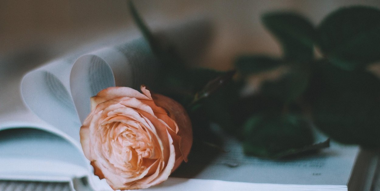 Siniaki, walentynki i RAL 3003