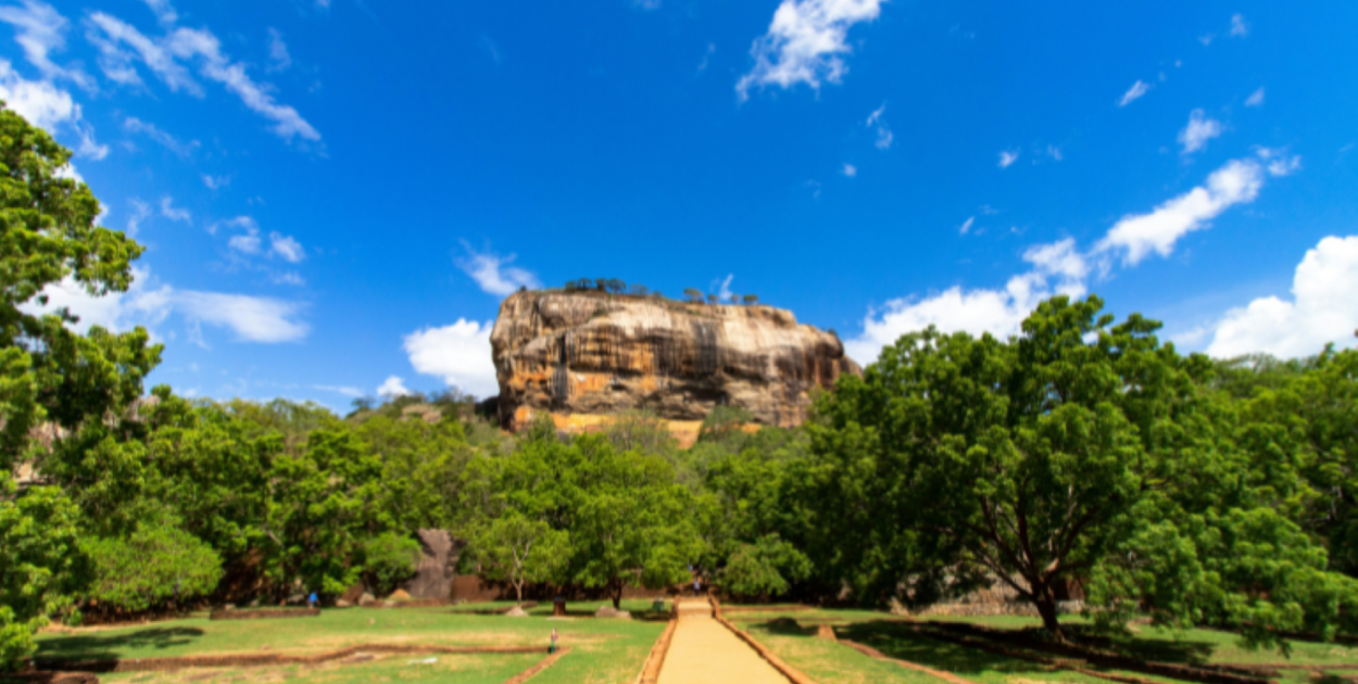 Wyspa Buddy, słoni, herbaty i cynamonu - odkryj Sri Lankę